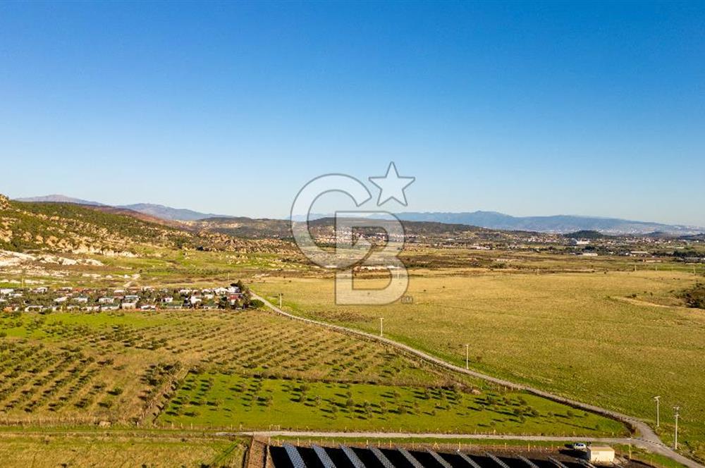 Foça Kocamehmetler’de Tek Tapu Satılık 6.484 m² Tarla 