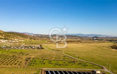 Foça Kocamehmetler’de Tek Tapu Satılık 6.484 m² Tarla 