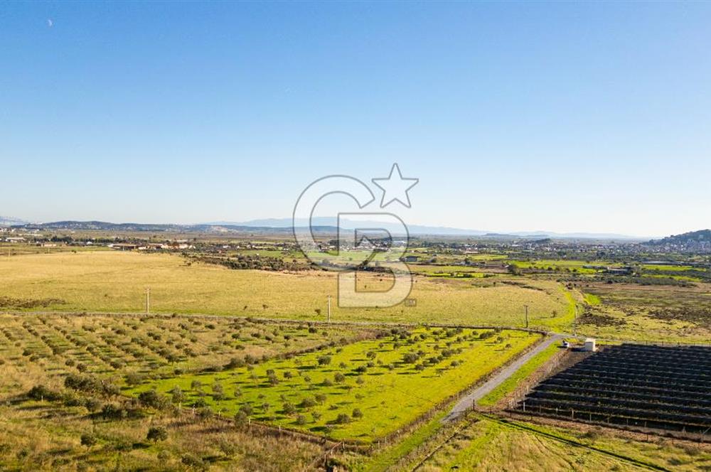 Foça Kocamehmetler’de Tek Tapu Satılık 6.484 m² Tarla 