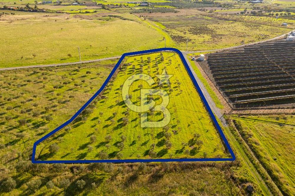 Foça Kocamehmetler’de Tek Tapu Satılık 6.484 m² Tarla 