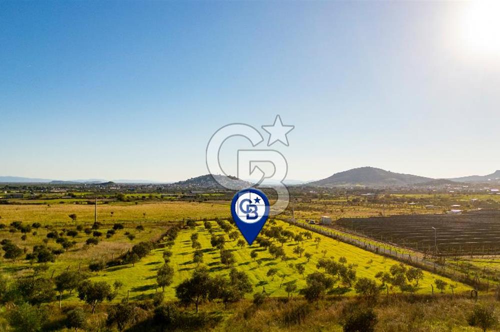 Foça Kocamehmetler’de Tek Tapu Satılık 6.484 m² Tarla 