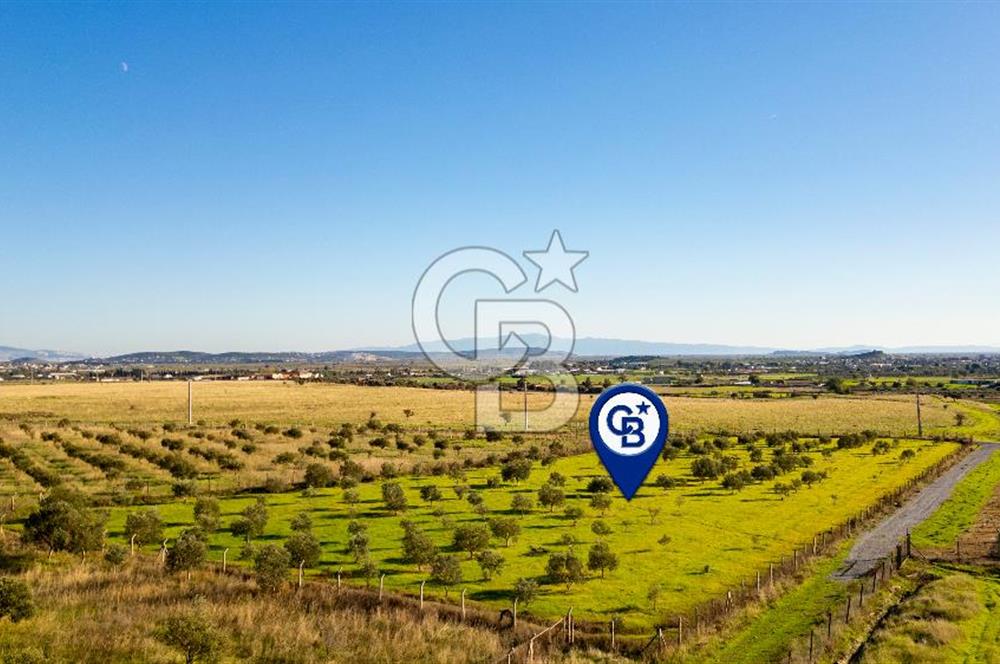 Foça Kocamehmetler’de Tek Tapu Satılık 6.484 m² Tarla 