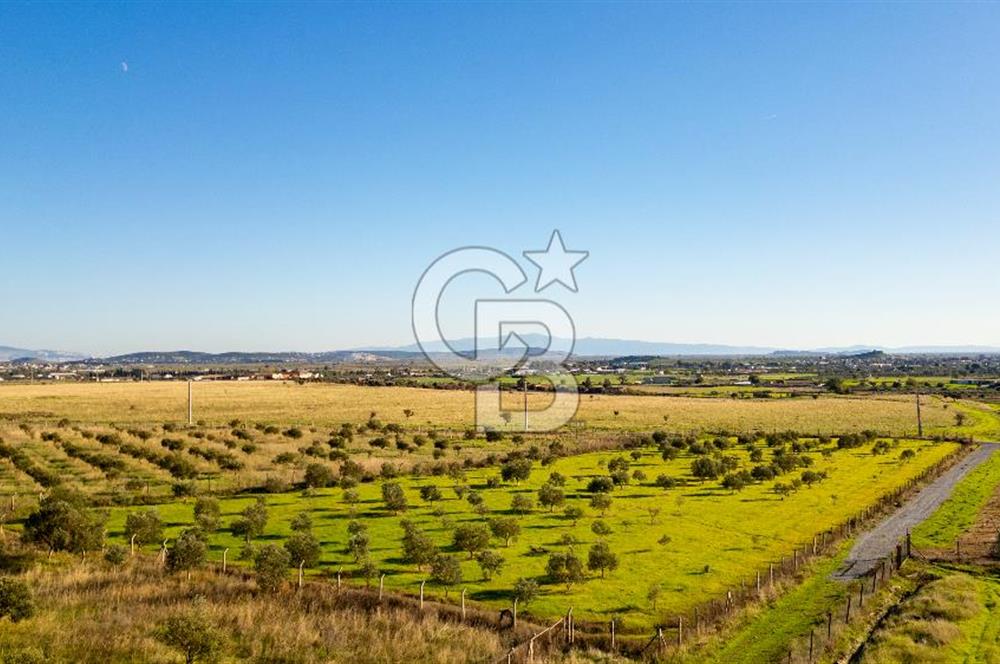 Foça Kocamehmetler’de Tek Tapu Satılık 6.484 m² Tarla 
