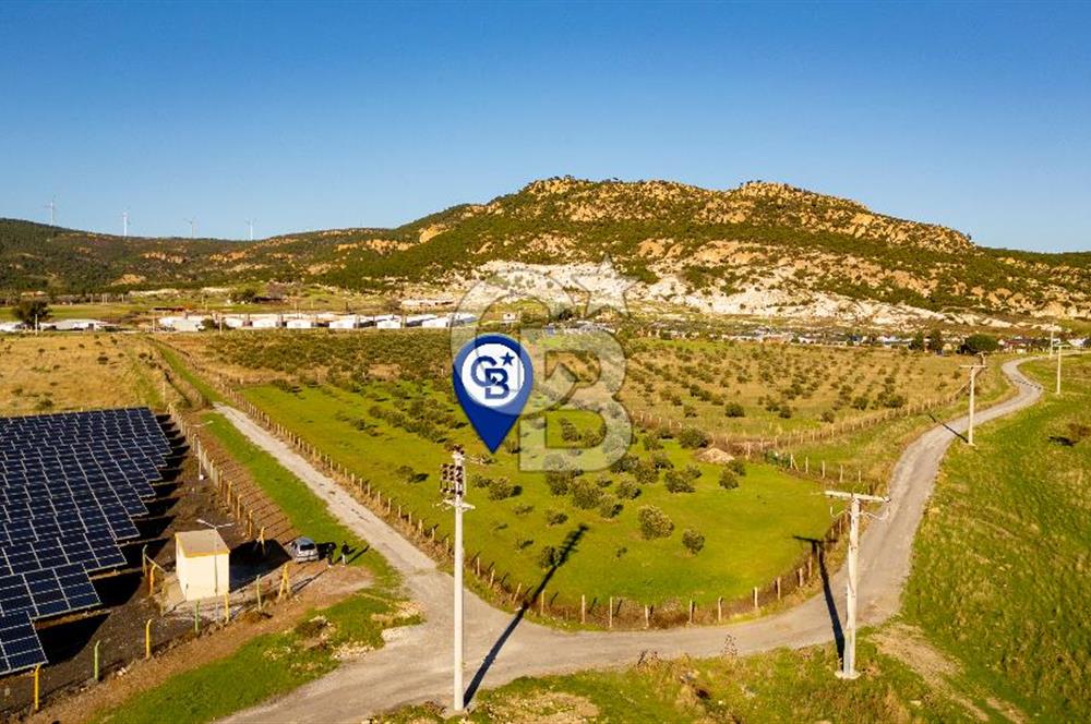 Foça Kocamehmetler’de Tek Tapu Satılık 6.484 m² Tarla 