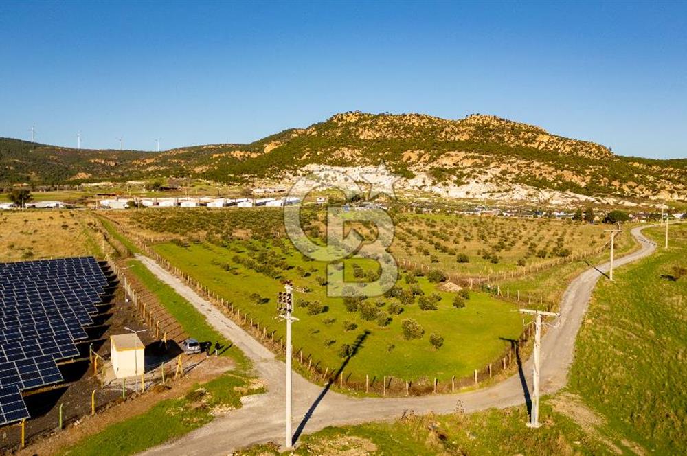 Foça Kocamehmetler’de Tek Tapu Satılık 6.484 m² Tarla 