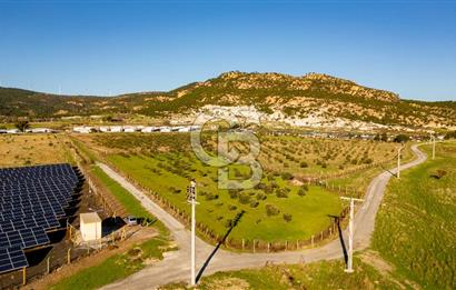 Foça Kocamehmetler’de Tek Tapu Satılık 6.484 m² Tarla 