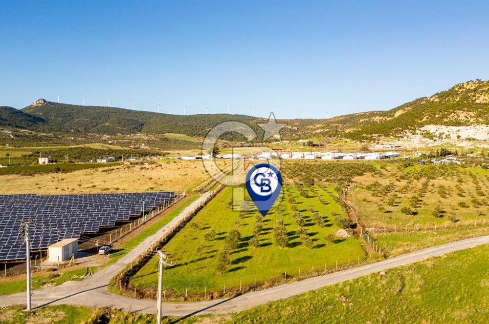 Foça Kocamehmetler’de Tek Tapu Satılık 6.484 m² Tarla 