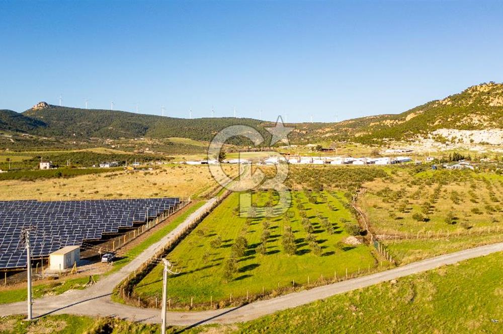 Foça Kocamehmetler’de Tek Tapu Satılık 6.484 m² Tarla 