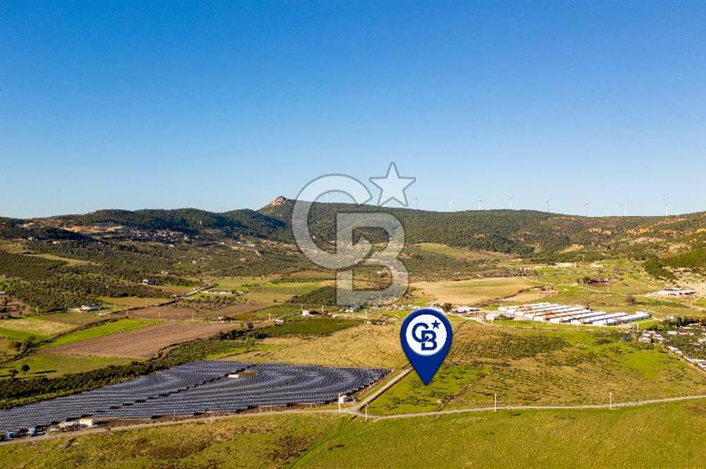 Foça Kocamehmetler’de Tek Tapu Satılık 6.484 m² Tarla 