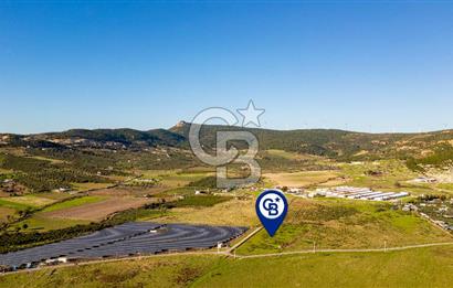 Foça Kocamehmetler’de Tek Tapu Satılık 6.484 m² Tarla 