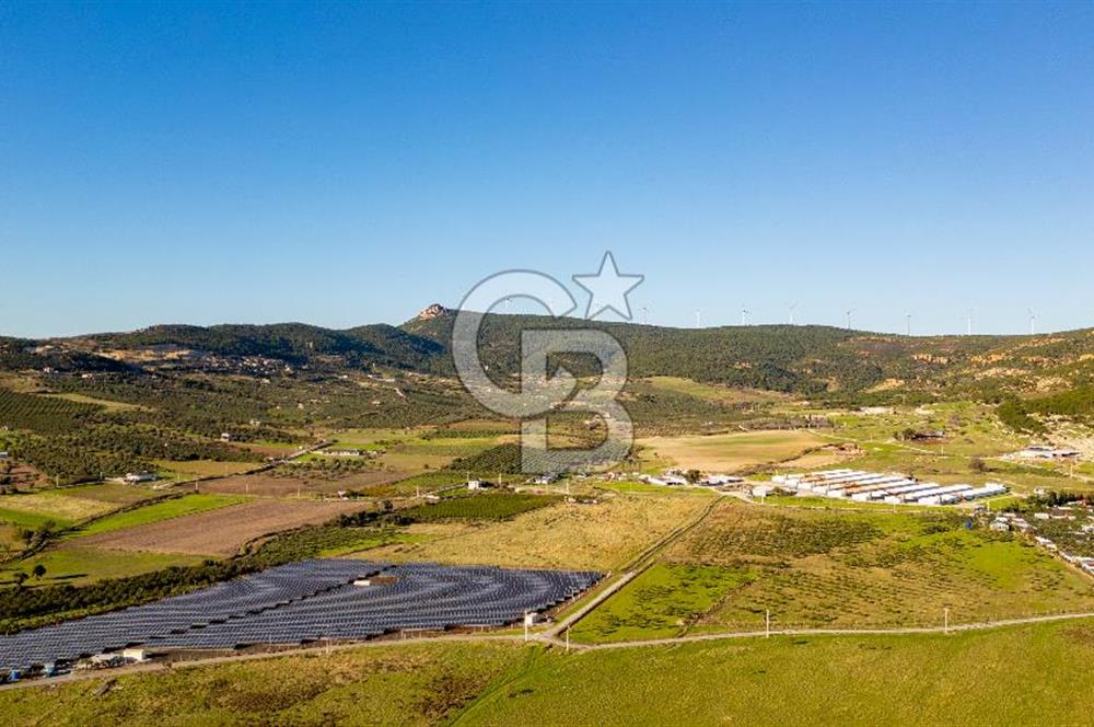 Foça Kocamehmetler’de Tek Tapu Satılık 6.484 m² Tarla 
