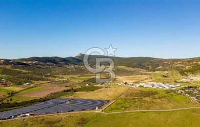 Foça Kocamehmetler’de Tek Tapu Satılık 6.484 m² Tarla 