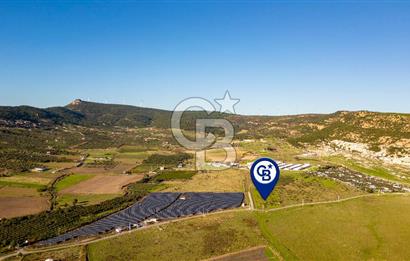 Foça Kocamehmetler’de Tek Tapu Satılık 6.484 m² Tarla 