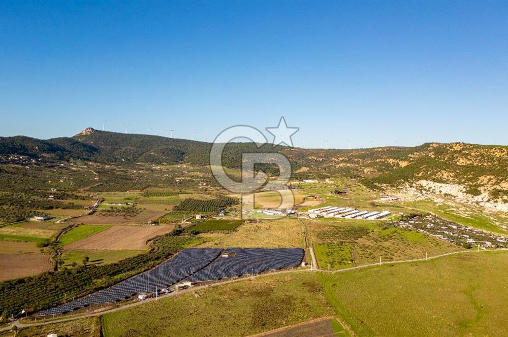 Foça Kocamehmetler’de Tek Tapu Satılık 6.484 m² Tarla 