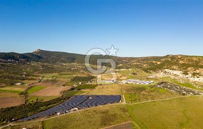 Foça Kocamehmetler’de Tek Tapu Satılık 6.484 m² Tarla 
