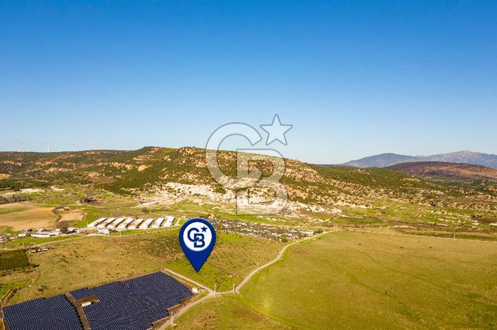 Foça Kocamehmetler’de Tek Tapu Satılık 6.484 m² Tarla 