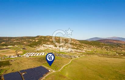Foça Kocamehmetler’de Tek Tapu Satılık 6.484 m² Tarla 
