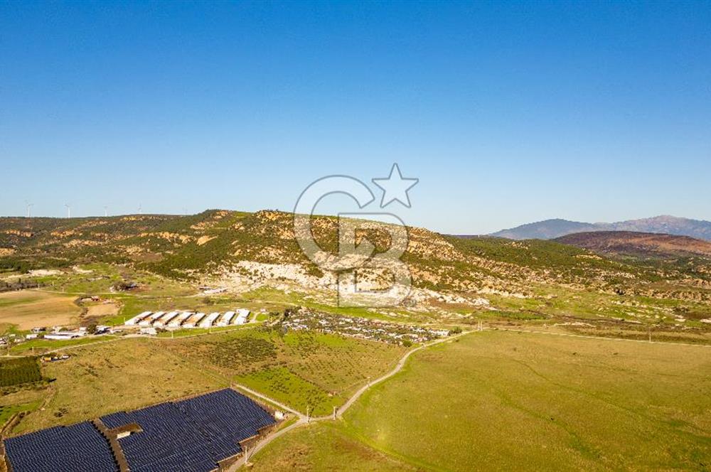 Foça Kocamehmetler’de Tek Tapu Satılık 6.484 m² Tarla 