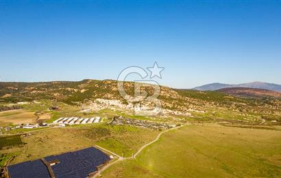 Foça Kocamehmetler’de Tek Tapu Satılık 6.484 m² Tarla 