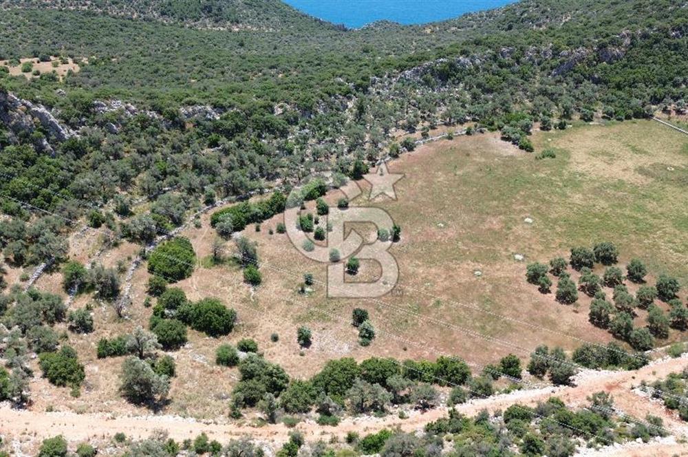 CB GİZ'DEN KALKAN BEZİRGANDA VİLLA ARAZİSİ