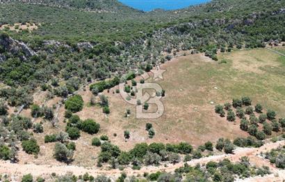 CB GİZ'DEN KALKAN BEZİRGANDA VİLLA ARAZİSİ