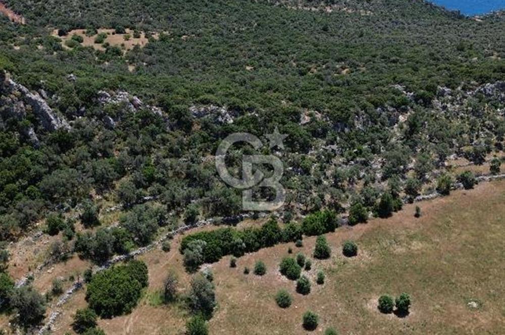 CB GİZ'DEN KALKAN BEZİRGANDA VİLLA ARAZİSİ