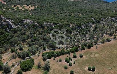 CB GİZ'DEN KALKAN BEZİRGANDA VİLLA ARAZİSİ