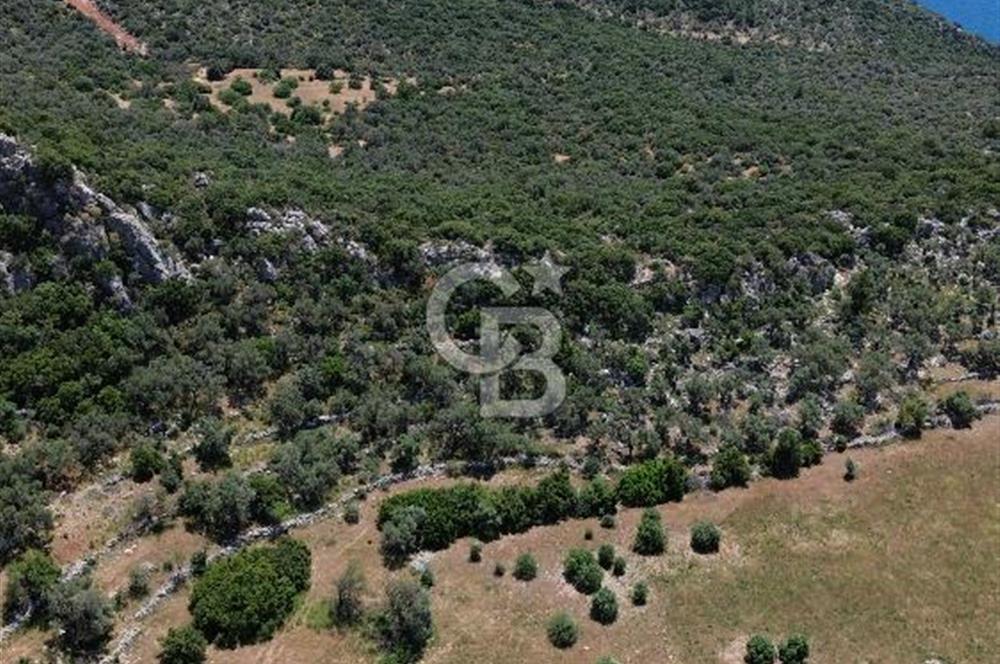 CB GİZ'DEN KALKAN BEZİRGANDA VİLLA ARAZİSİ
