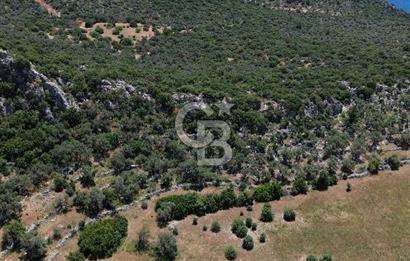 CB GİZ'DEN KALKAN BEZİRGANDA VİLLA ARAZİSİ