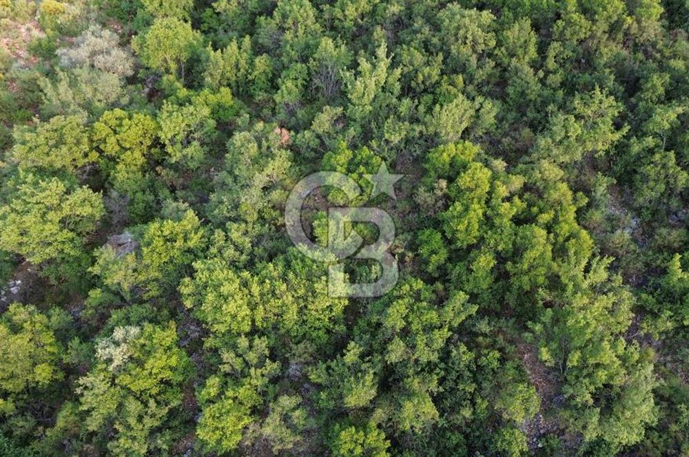 CB GİZ'DEN KAŞ SAHİL KILINÇLIDA SATILIK ARSA