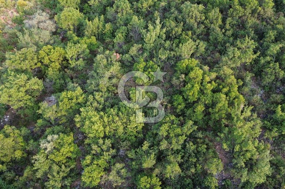 CB GİZ'DEN KAŞ SAHİL KILINÇLIDA SATILIK ARSA