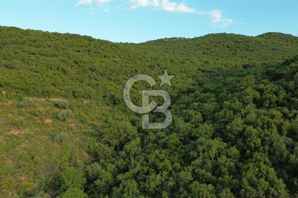 CB GİZ'DEN KAŞ SAHİL KILINÇLIDA SATILIK ARSA