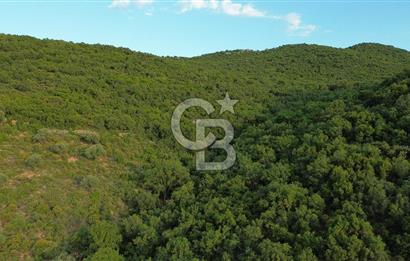 CB GİZ'DEN KAŞ SAHİL KILINÇLIDA SATILIK ARSA