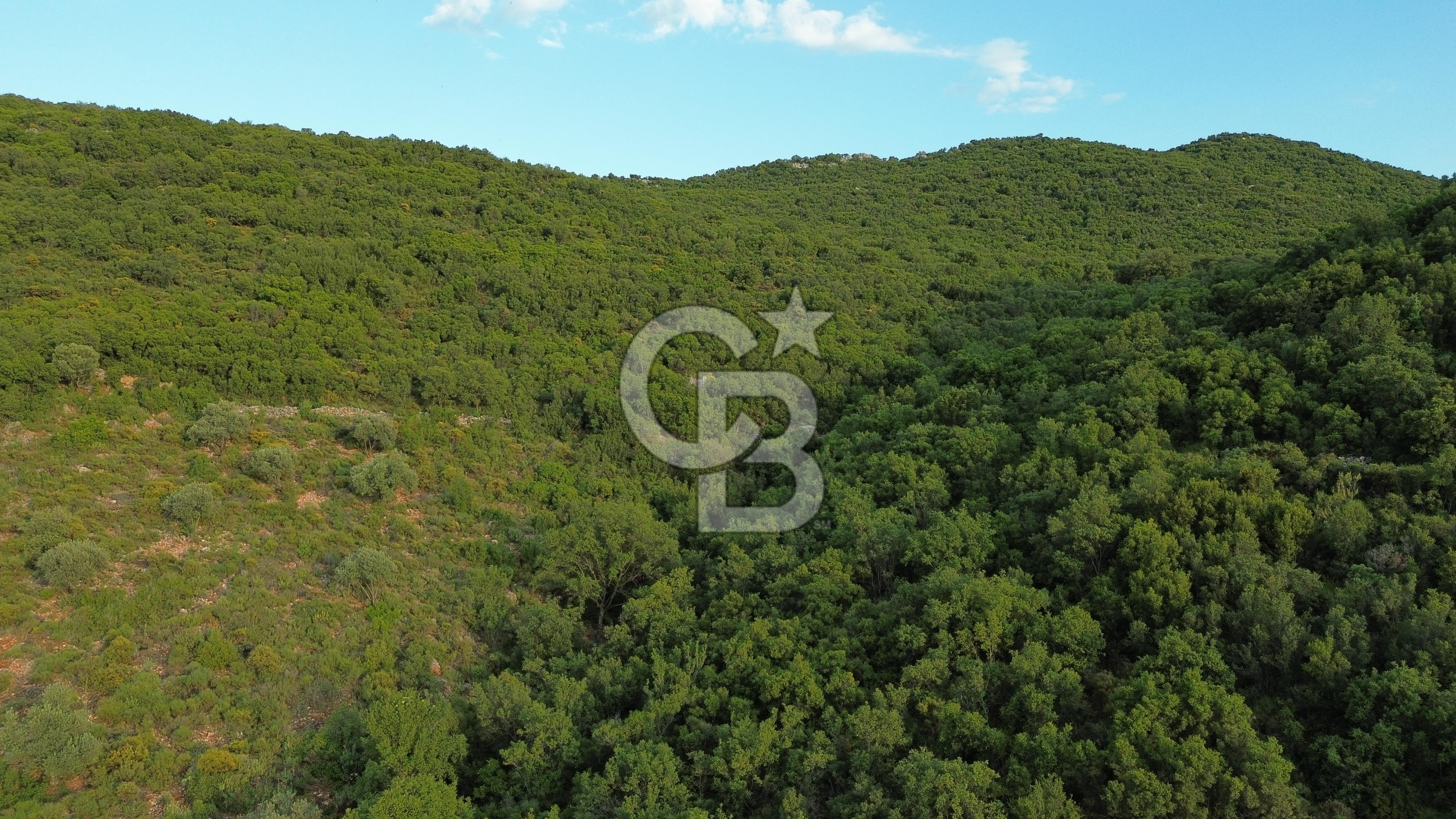 CB GİZ'DEN KAŞ SAHİL KILINÇLIDA SATILIK ARSA