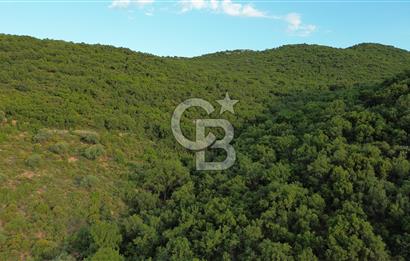 CB GİZ'DEN KAŞ SAHİL KILINÇLIDA SATILIK ARSA
