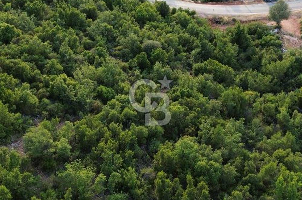 CB GİZ'DEN KAŞ SAHİL KILINÇLIDA SATILIK ARSA