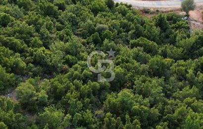 CB GİZ'DEN KAŞ SAHİL KILINÇLIDA SATILIK ARSA