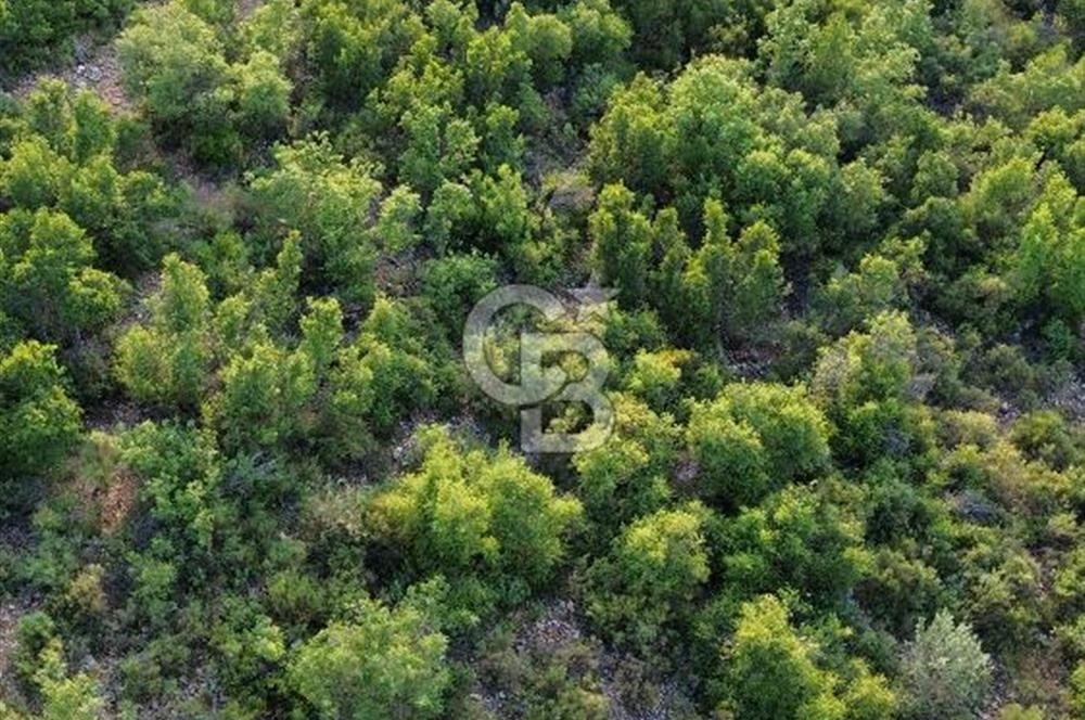 CB GİZ'DEN KAŞ SAHİL KILINÇLIDA SATILIK ARSA