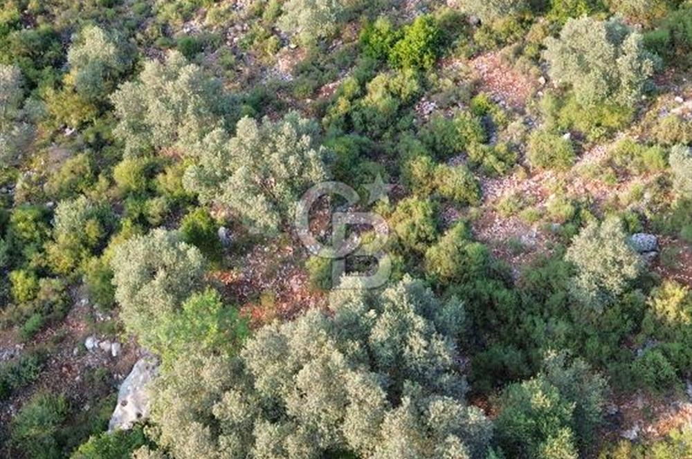 CB GİZ'DEN KAŞ SAHİL KILINÇLIDA SATILIK ARSA