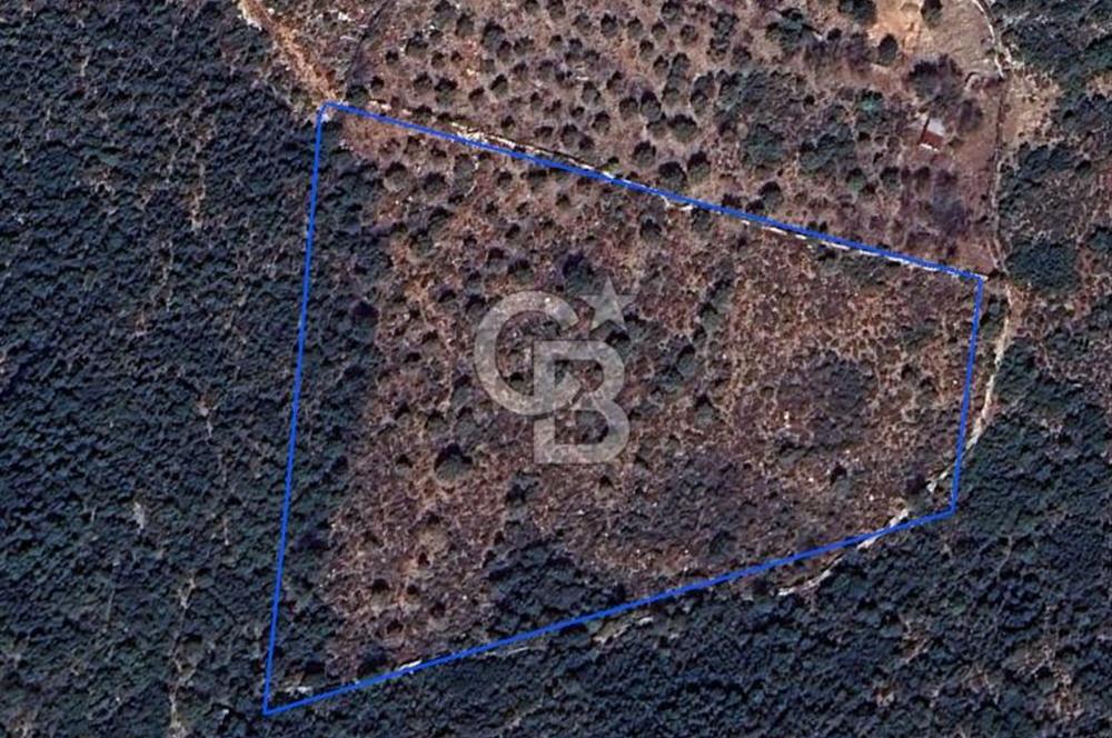 CB GİZ'DEN KAŞ SAHİL KILINÇLIDA SATILIK ARSA