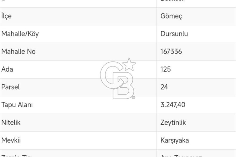 GÖMEÇ DURSUNLU'DA DEĞERLİ KONUMDA SATILIK ZEYTİNLİK 3.247 m²