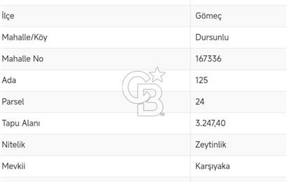 GÖMEÇ DURSUNLU'DA DEĞERLİ KONUMDA SATILIK ZEYTİNLİK 3.247 m²