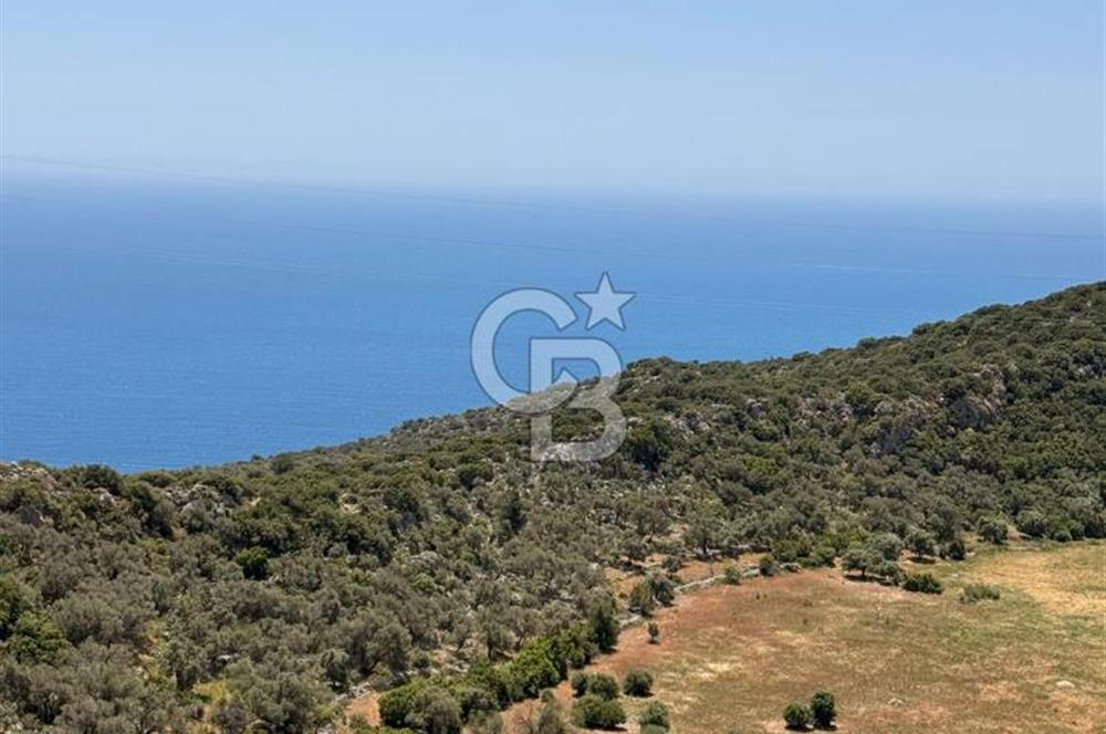 CB GİZ'DEN KALKAN BEZİRGANDA VİLLA ARAZİSİ