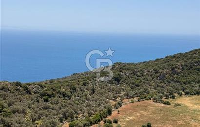 CB GİZ'DEN KALKAN BEZİRGANDA VİLLA ARAZİSİ