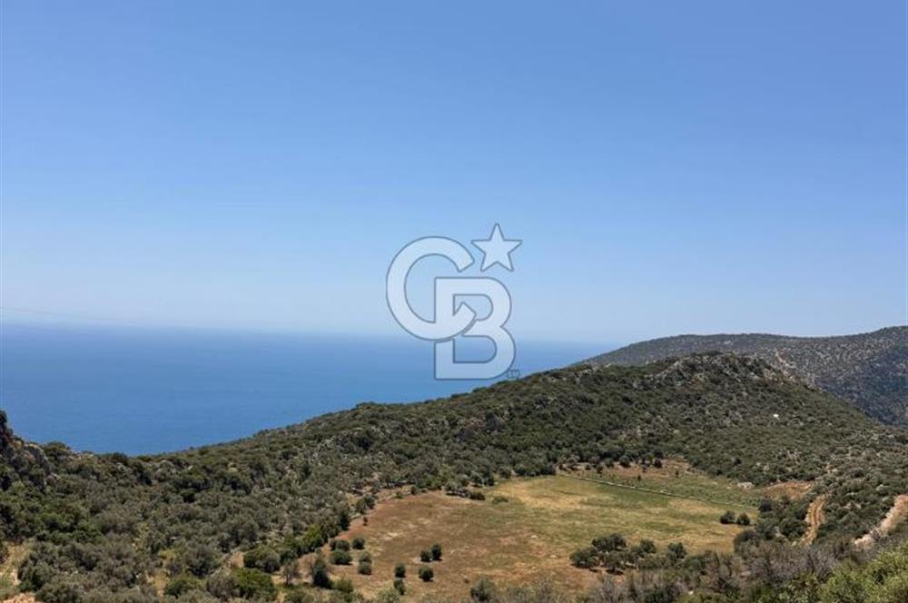 CB GİZ'DEN KALKAN BEZİRGANDA VİLLA ARAZİSİ