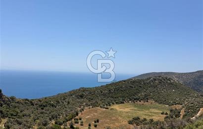 CB GİZ'DEN KALKAN BEZİRGANDA VİLLA ARAZİSİ