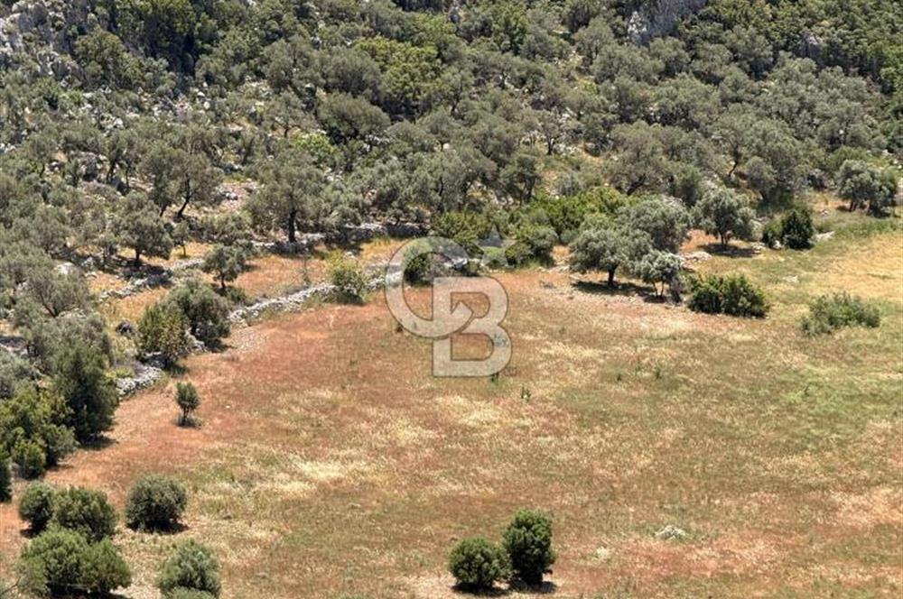 CB GİZ'DEN KALKAN BEZİRGANDA VİLLA ARAZİSİ