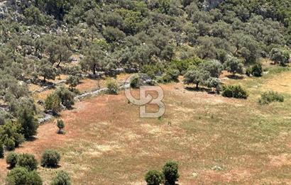 CB GİZ'DEN KALKAN BEZİRGANDA VİLLA ARAZİSİ