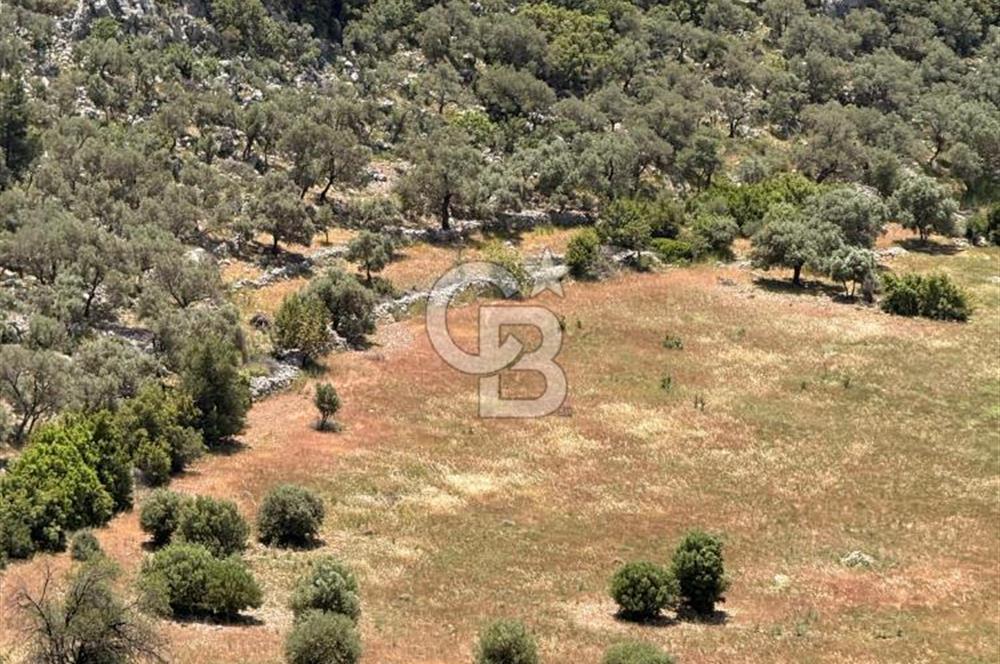 CB GİZ'DEN KALKAN BEZİRGANDA VİLLA ARAZİSİ
