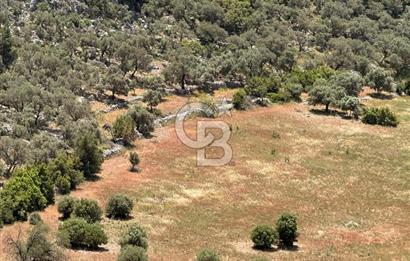 CB GİZ'DEN KALKAN BEZİRGANDA VİLLA ARAZİSİ